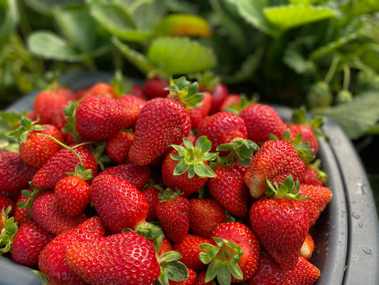Strawberries